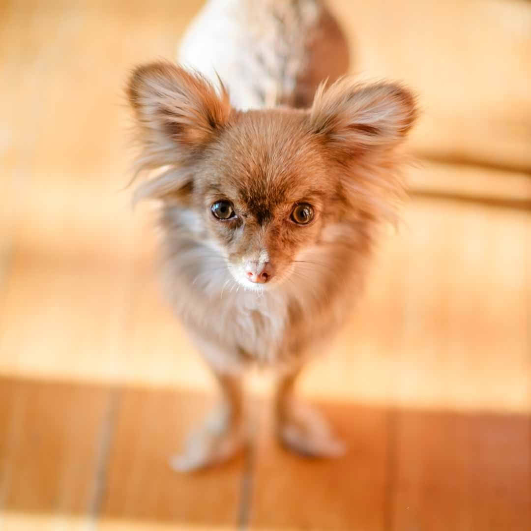 GROUNDED Sustainability logo graphic