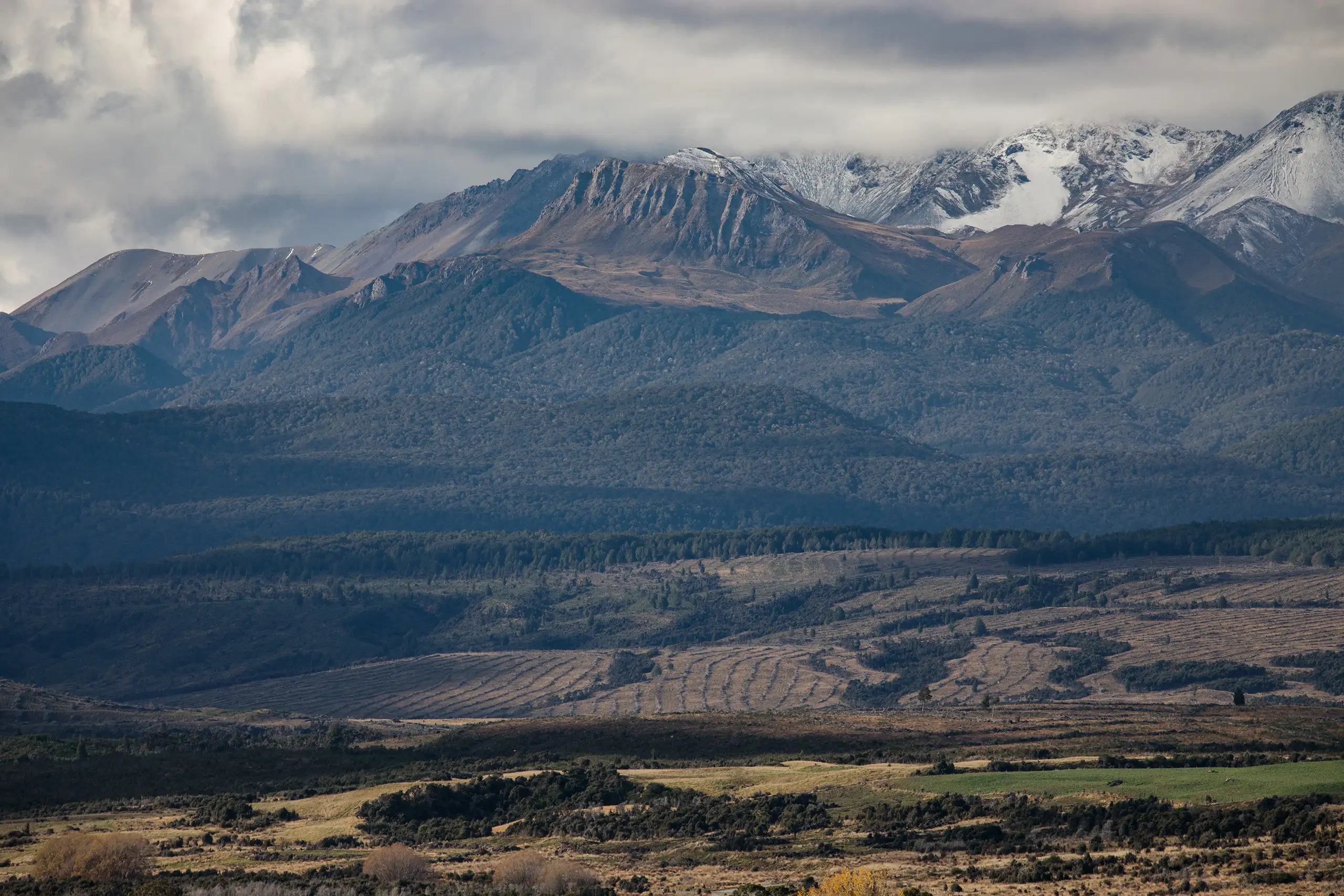 Southland landscape with farm forest mountain